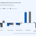 Inflation hedge cpi rates